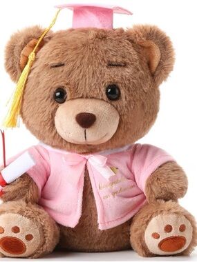 Graduation Bear Plush Toy - Pink Gown and Cap10”